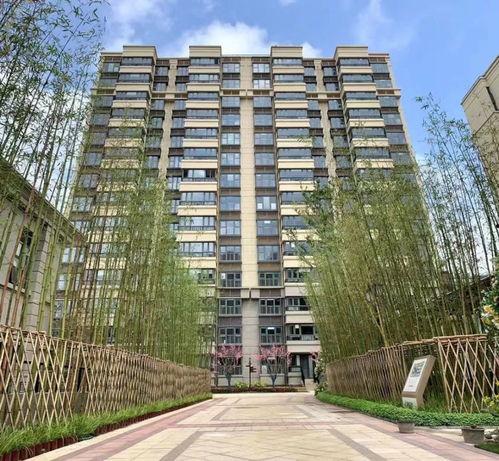 今天楼盘爆料最新消息,揭秘神秘项目即将亮相  第1张